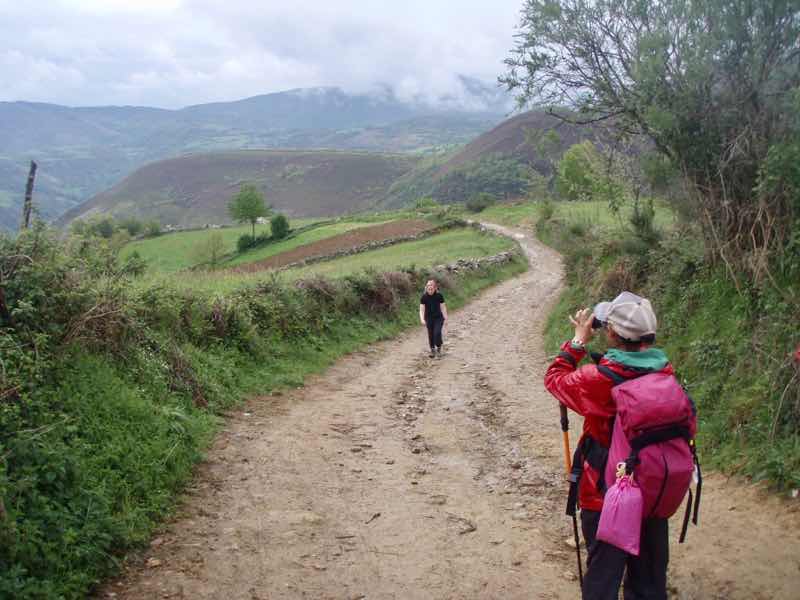 526 カミーノ　山道　セブレイロ　1カメラ中
