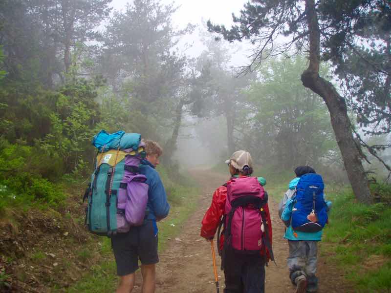 527 カミーノ　セブレイロ　霧山道　12A