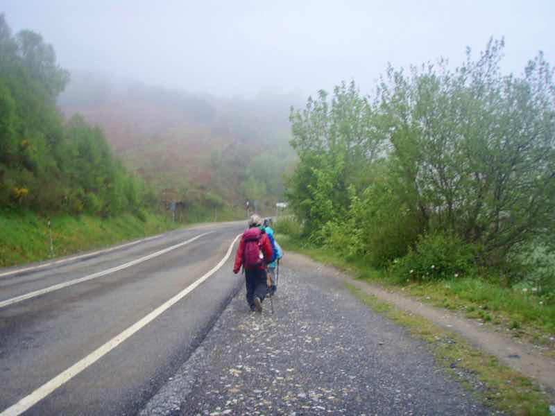 528 カミーノ　トリカステーリャ　12 下り　舗装路