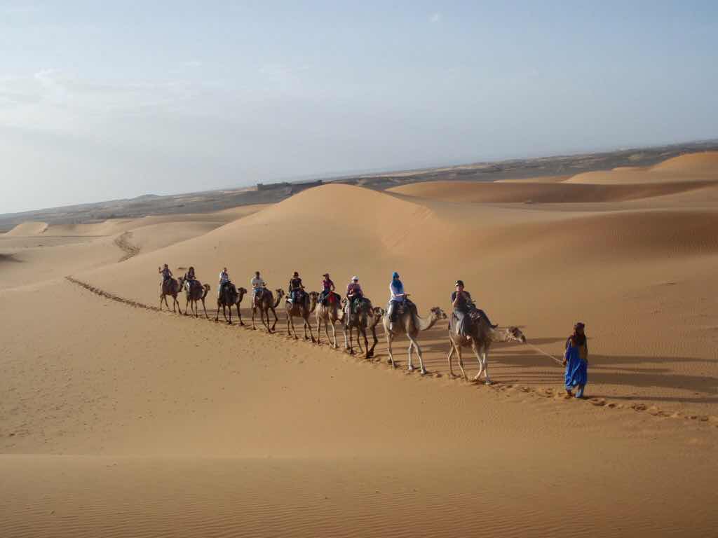 モロッコ　サハラ砂漠　ラクダ一列