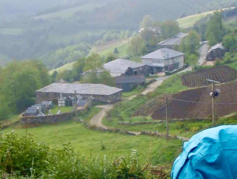 528 カミーノ　トリカステーリャ　山見下ろす2頭