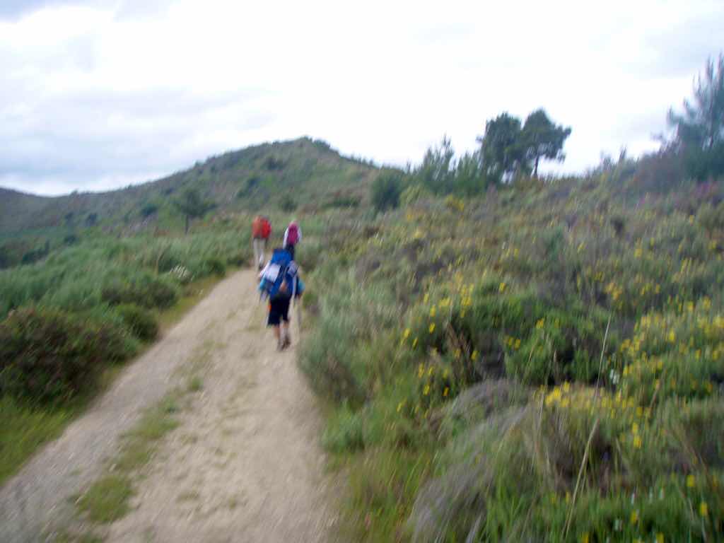 525サンティアゴ巡礼　ルイテラン　山登り12E