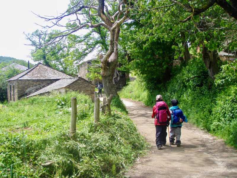 528 カミーノ　トリカステーリャ　田舎左石家12