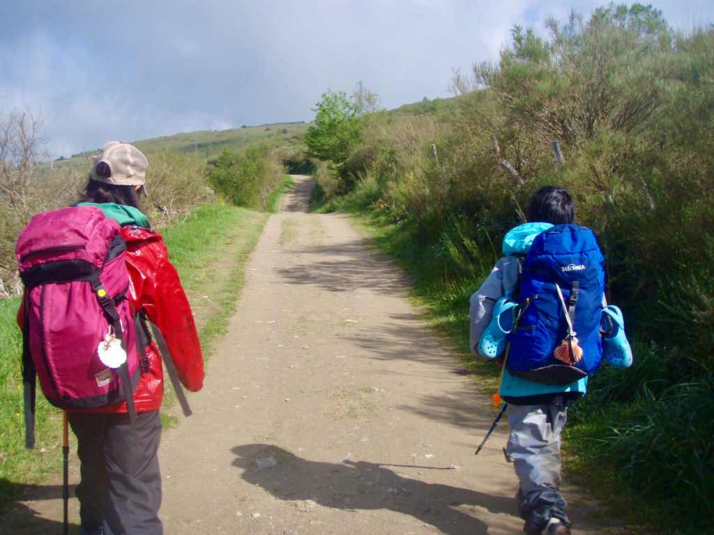 528 カミーノ　トリカステーリャ　左右あるく12 田舎道　