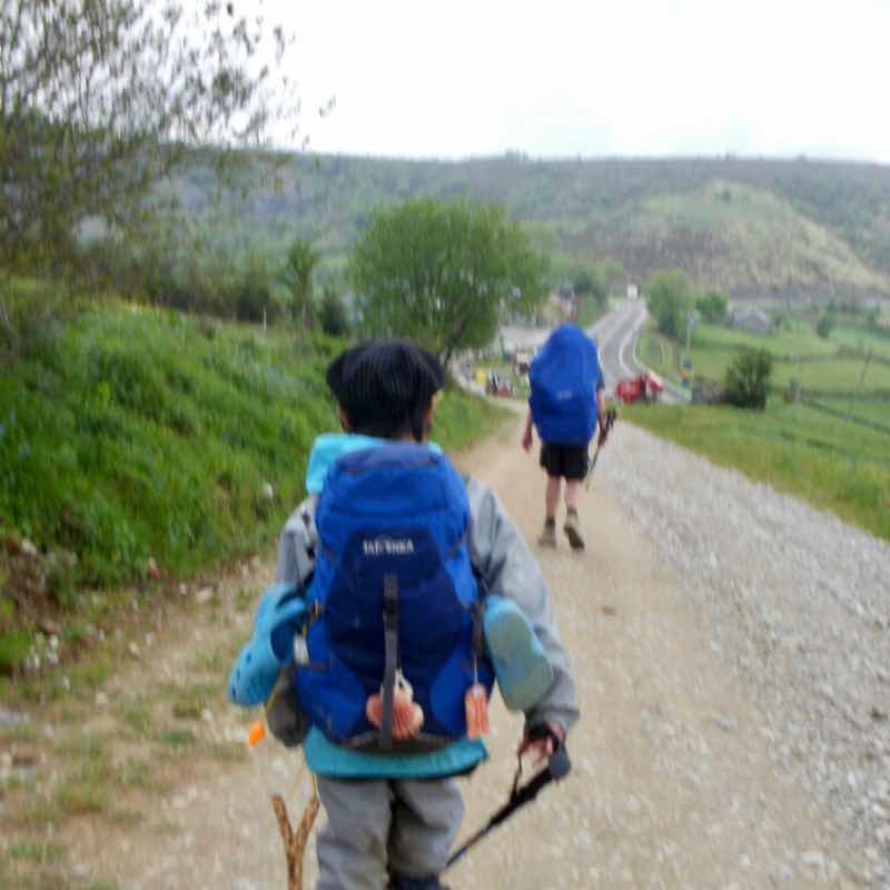 527 カミーノ　オスピタルデコンデサ　2A山道