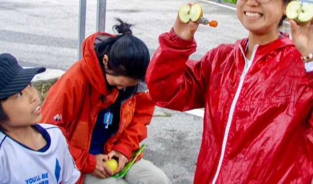 525サンティアゴ巡礼　ルイテラン　12Eリンゴ割