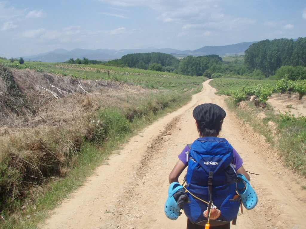 524 カミーノ ビアフランカ 田舎道 2 サンティアゴ巡礼