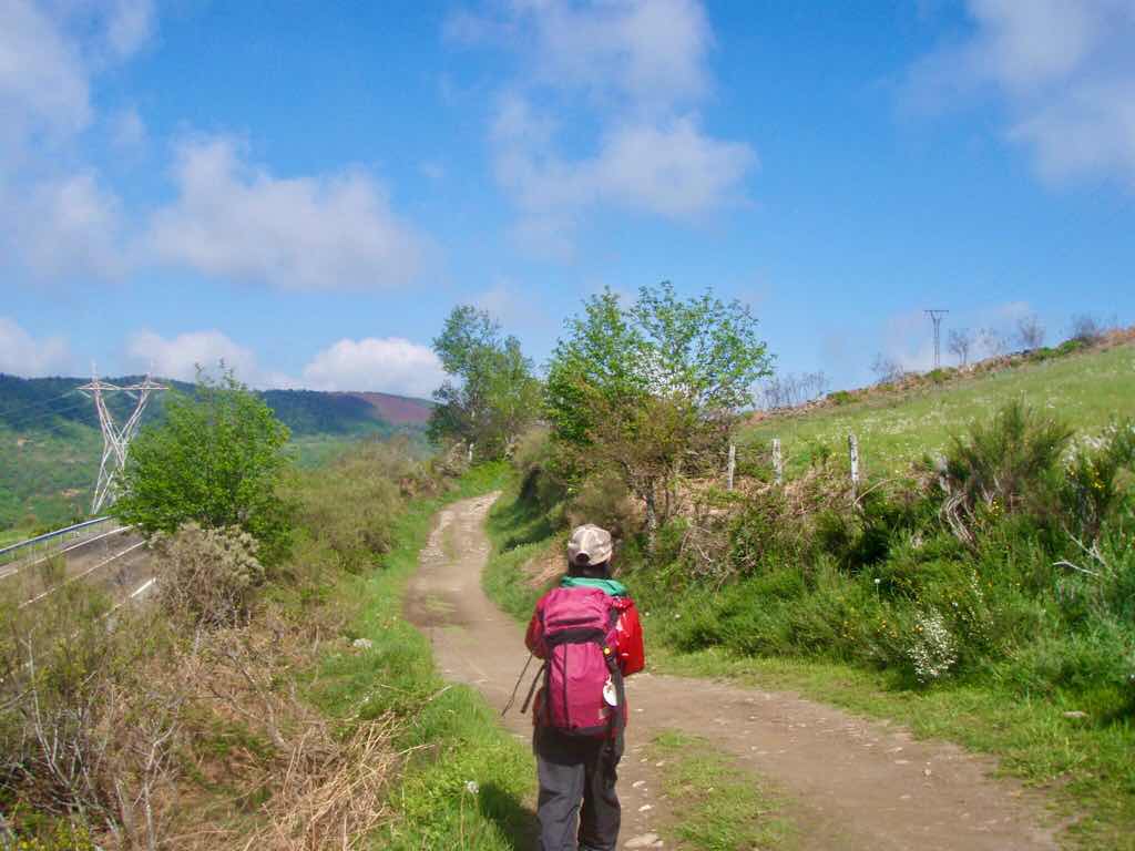 528 カミーノ　トリカステーリャ　田舎道　青空　１1人