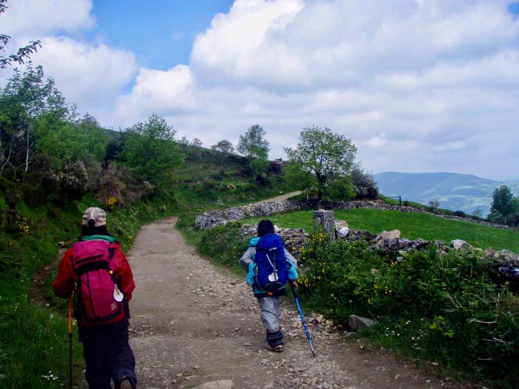 528 カミーノ　トリカステーリャ　青空　石垣　12