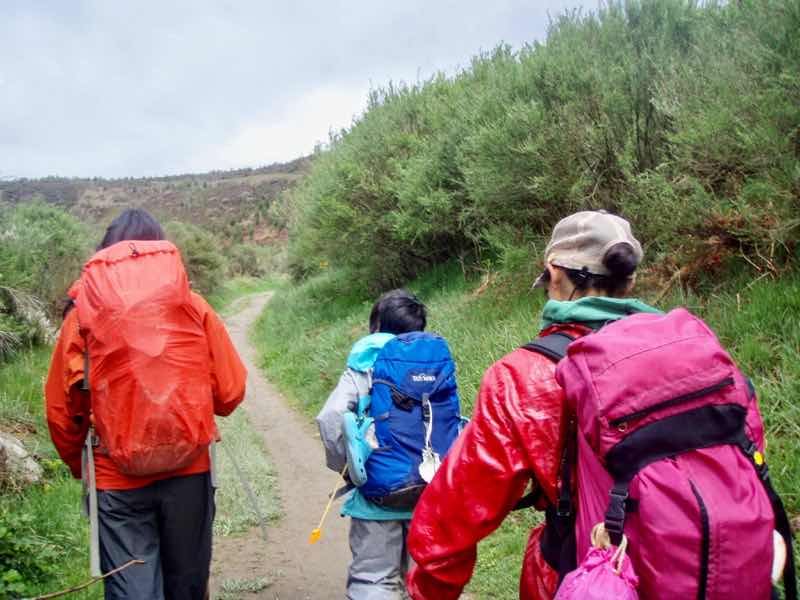 526 カミーノ　セブレイロ　山道12E 少し曲がった