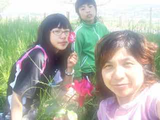 531Camino redrose バルバデロ 真紅のバラ