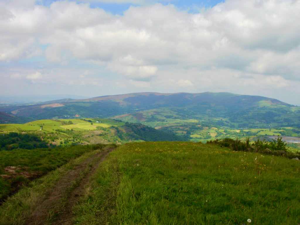 528 カミーノ　トリカステーリャ　山景色　風景芝生