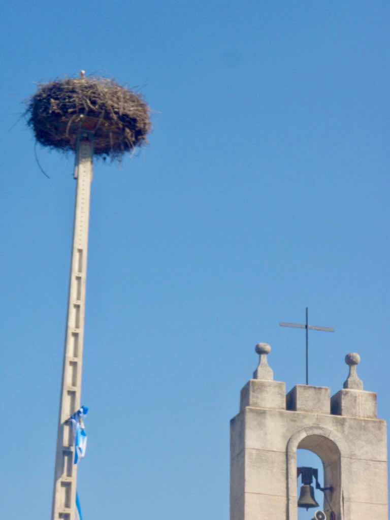 524 カミーノ ビアフランカ コウノトリ サンティアゴ巡礼