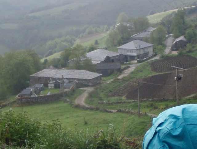 527 カミーノ　オスピタルデコンデサ　防風林