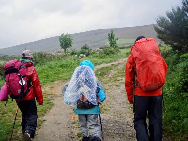 526 カミーノ　山道　ルイテラン　12E