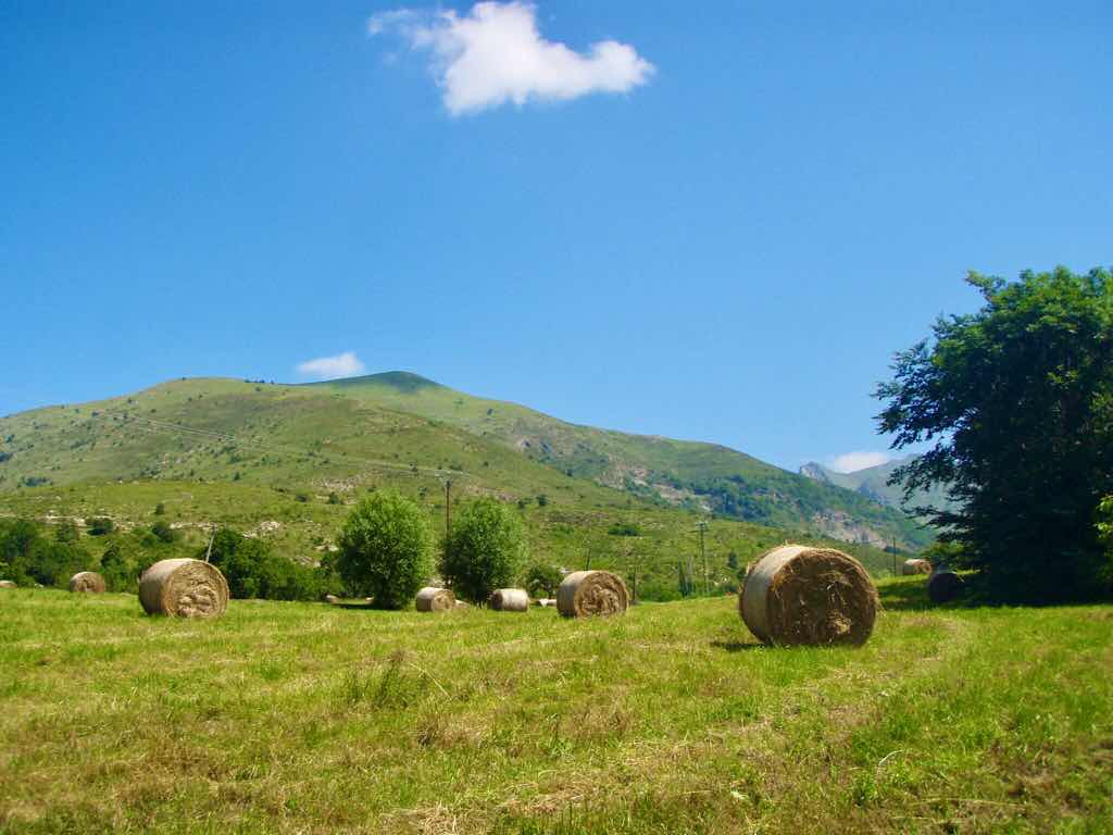 フランス　牧草　景色