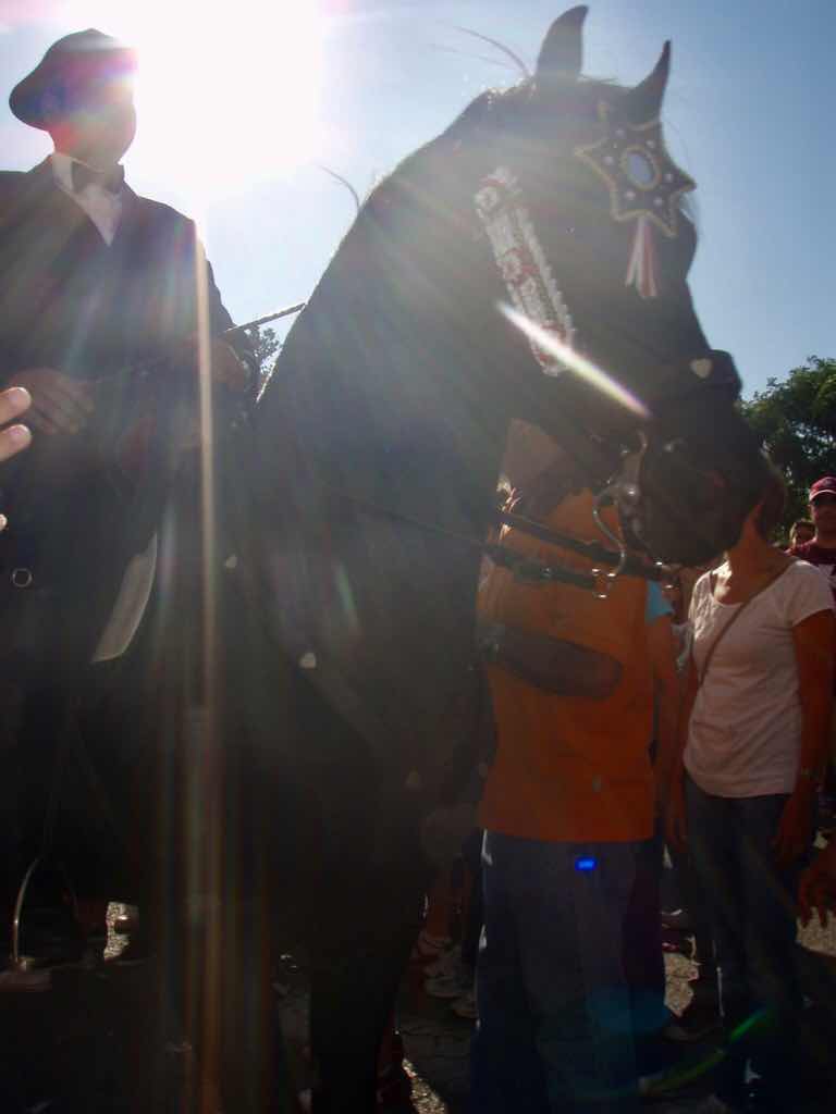 地中海　スペイン　メノルカ島　馬祭り