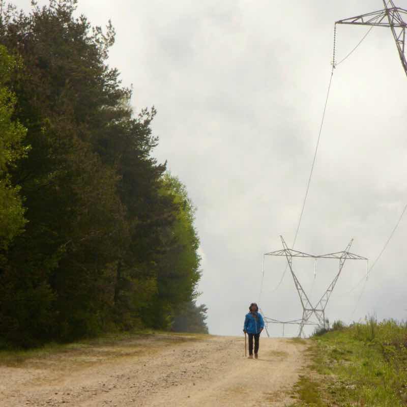 527 カミーノ　オスピタルデコンデサ　3杖探し