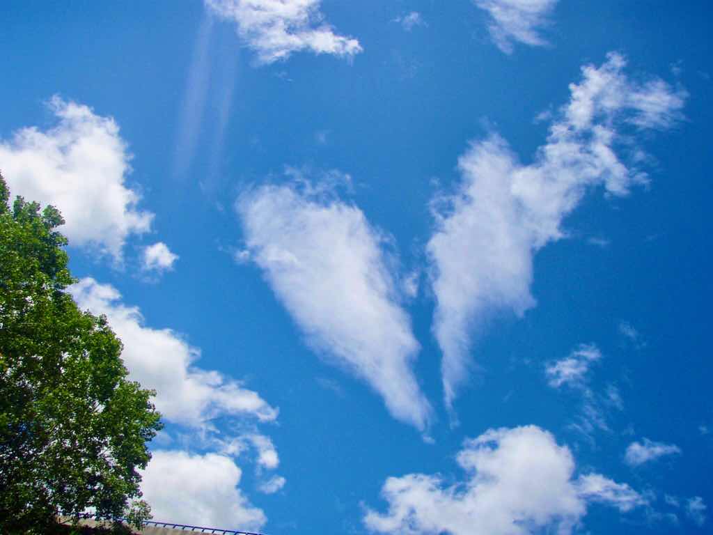 525サンティアゴ巡礼　ルイテラン　青空　ハート雲