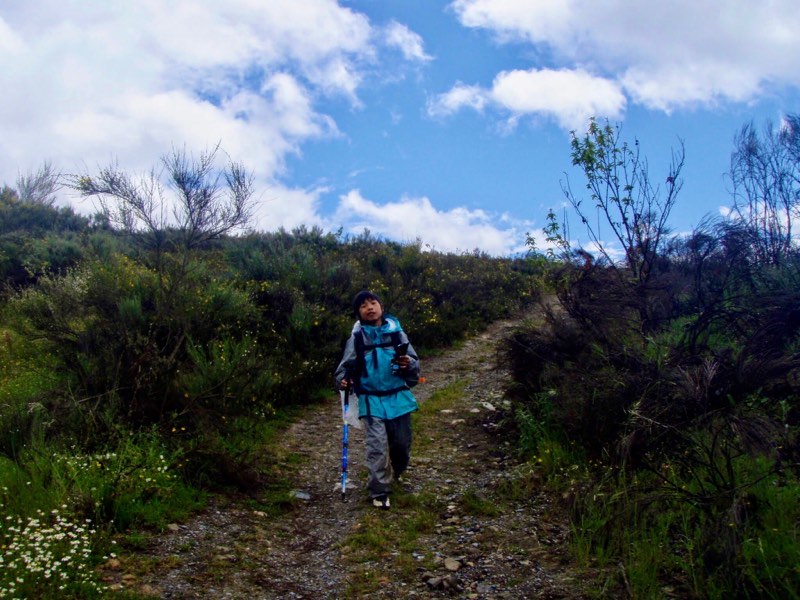 525サンティアゴ巡礼　ルイテラン　2青空　下り