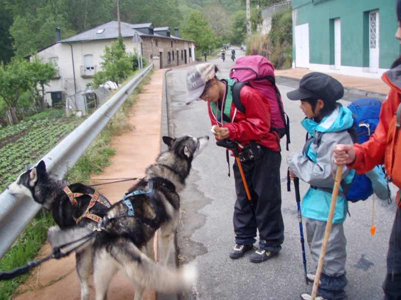 526 カミーノ　犬と巡礼　ルイテラン　出発犬　12E町