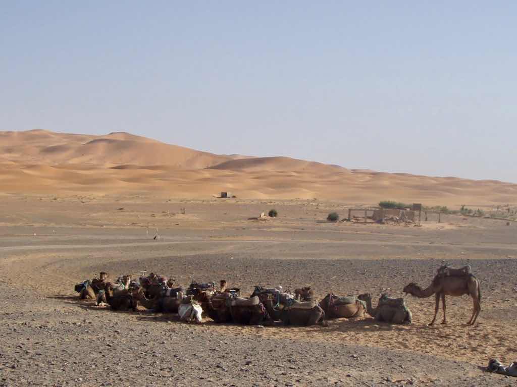 モロッコ　サハラ砂漠　ラクダ待ち