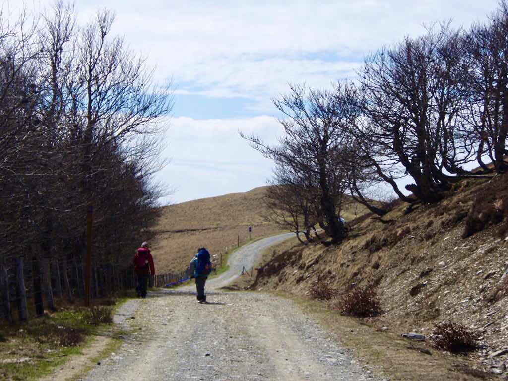 417 カミーノ スペイン巡礼 ロンセスバージェス山道 12