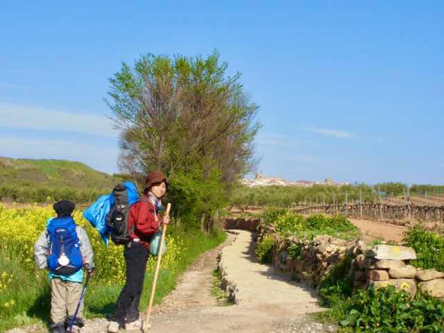 424 スペイン巡礼 町プエンテラレイナ 途中教田舎道23