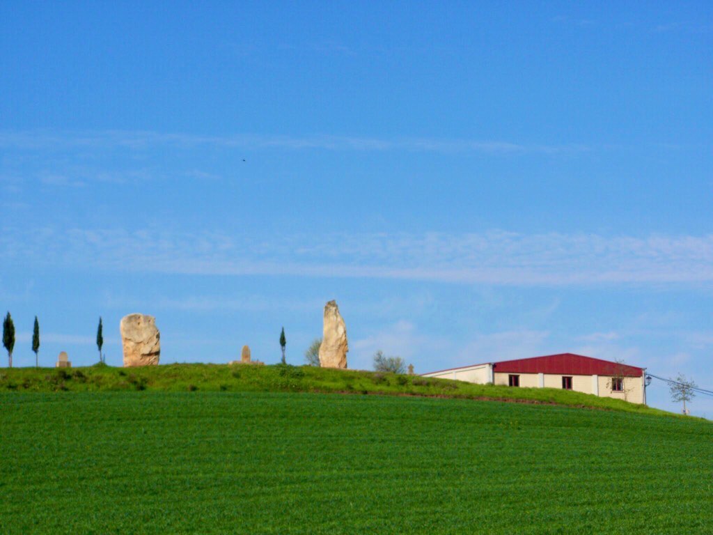 424 スペイン巡礼 町エステージャ 景色 木と家