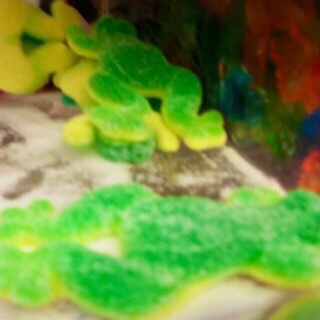 424 スペイン巡礼 お菓子 かえるグミ