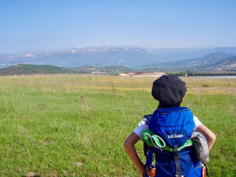 425 ロスアルコス 途中風景 2スペイン カミーノ