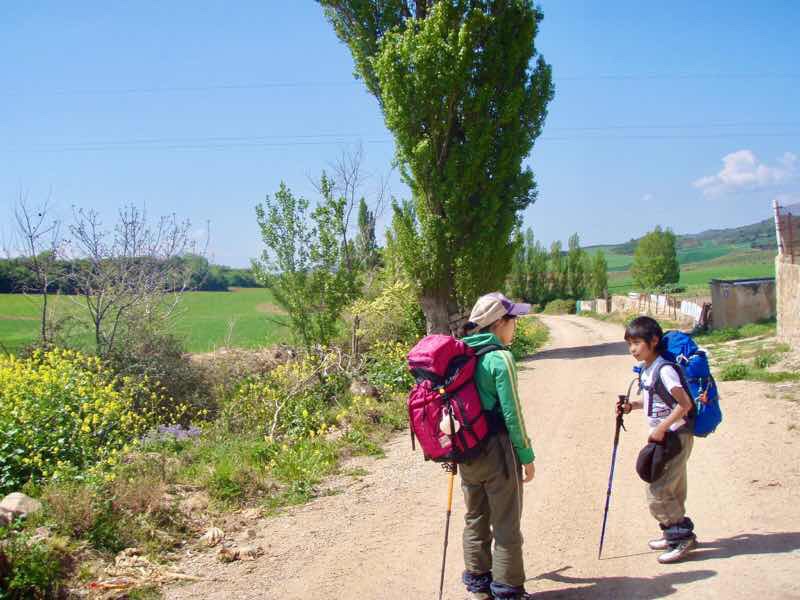 425 ロスアルコス 田舎道12 向き合って スペイン カミーノ