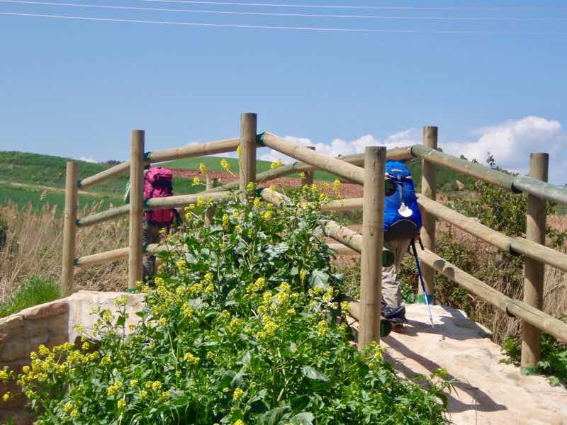 425 ロスアルコス 田舎道12 小さな橋 スペイン カミーノ