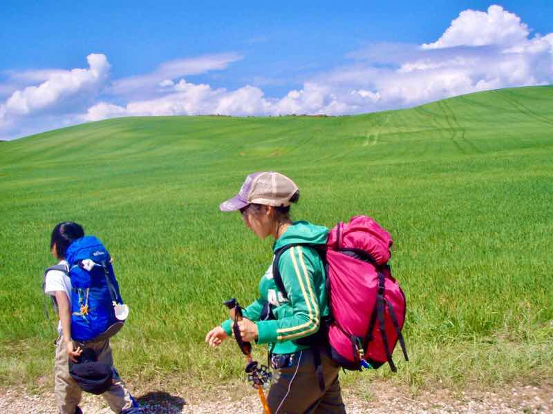 425 ロスアルコス スペイン田舎道 3 カミーノ