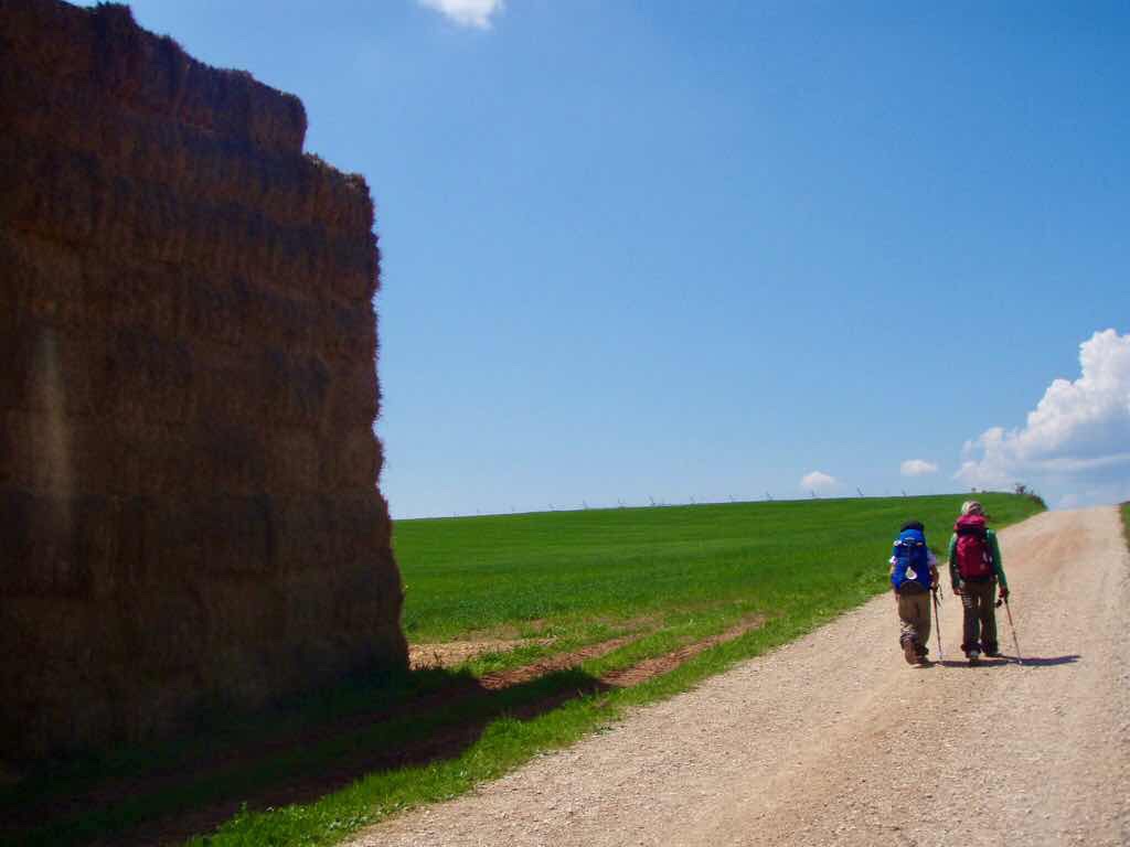 425 ロスアルコス スペイン田舎道 12 左後ろワラ山カミーノ