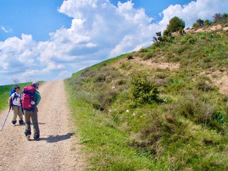425 ロスアルコス スペイン田舎道の12 雲青 カミーノ