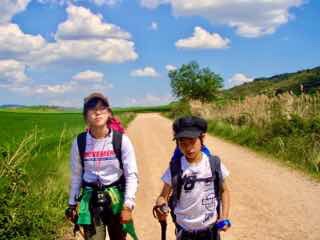 425 ロスアルコス スペイン田舎道 12 正面カミーノ