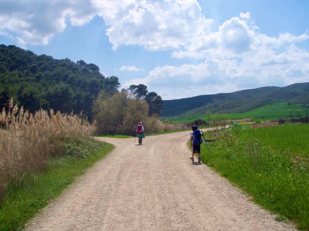 425 ロスアルコス スペイン田舎道 12 二股道 カミーノ