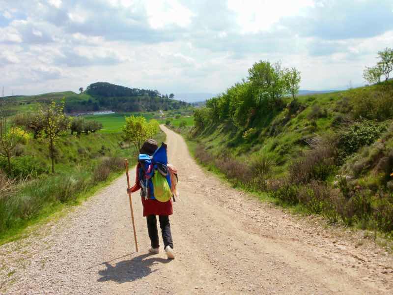 425 ロスアルコス スペイン田舎道 3 カミーノ