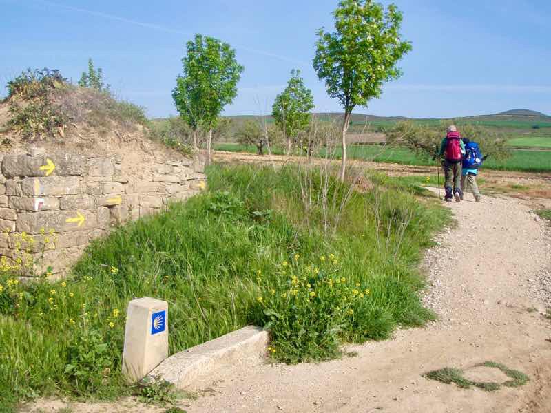 426 スペイン旅 子どもと一緒 トレス・デル・リオ サンティアゴ巡礼 道しるべ左12