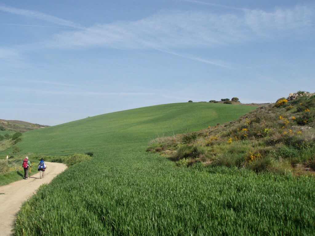 426 スペイン旅 子どもと一緒 トレス・デル・リオ サンティアゴ巡礼 左道12