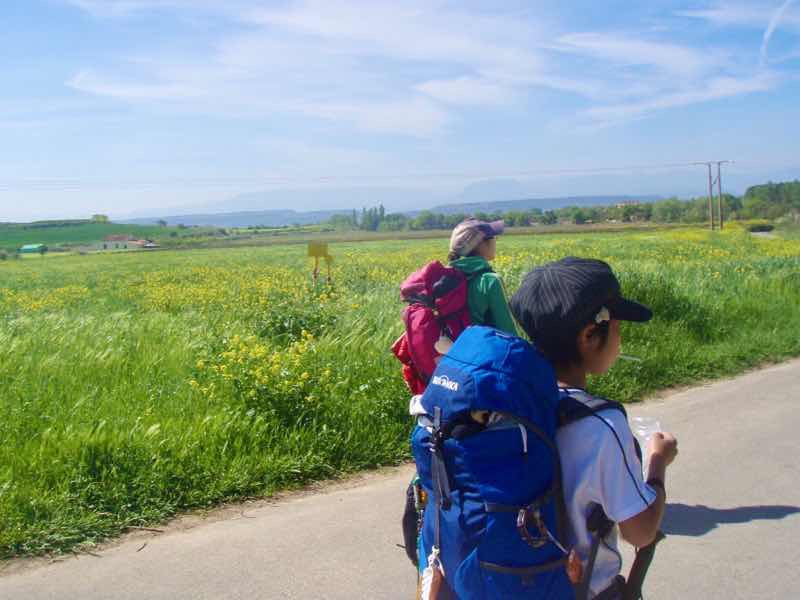 428ログローニョ　Logrono　田舎道　12