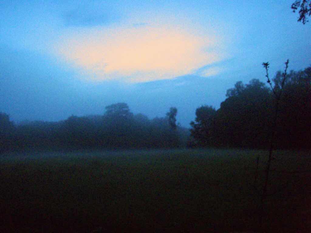 601 カミーノ caminoポルトマリンportmarin 朝焼け雲