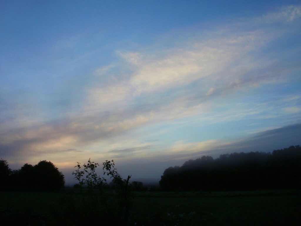 601 カミーノ caminoポルトマリンportmarin 朝焼け明るい景色の空