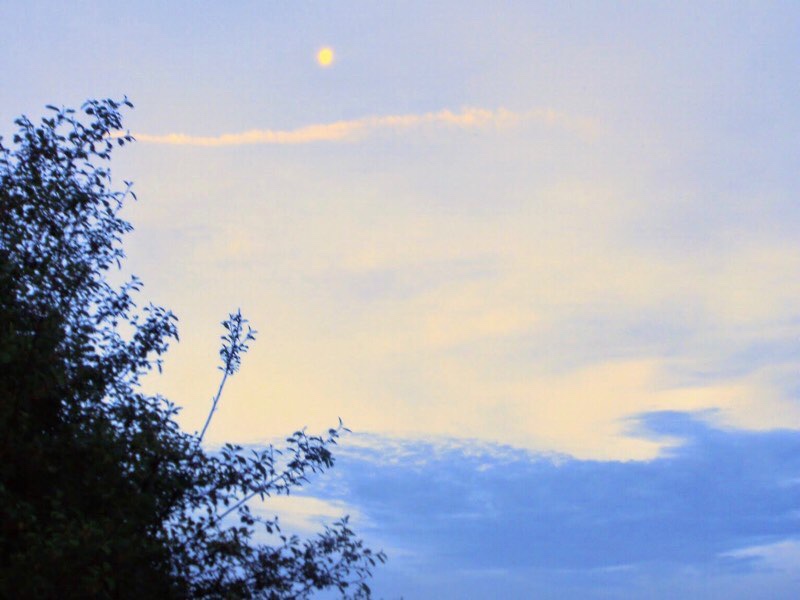 601 カミーノ caminoポルトマリンportmarin 朝焼け 薄い月