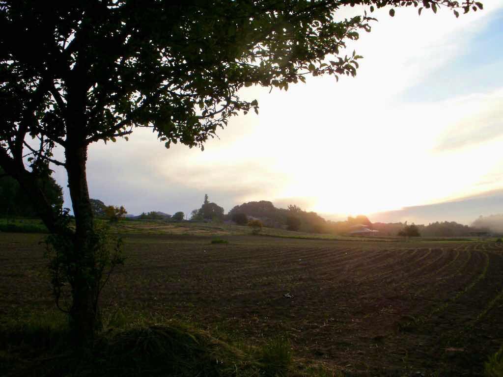 601 カミーノ caminoポルトマリンportmarin 朝焼け明るい景色