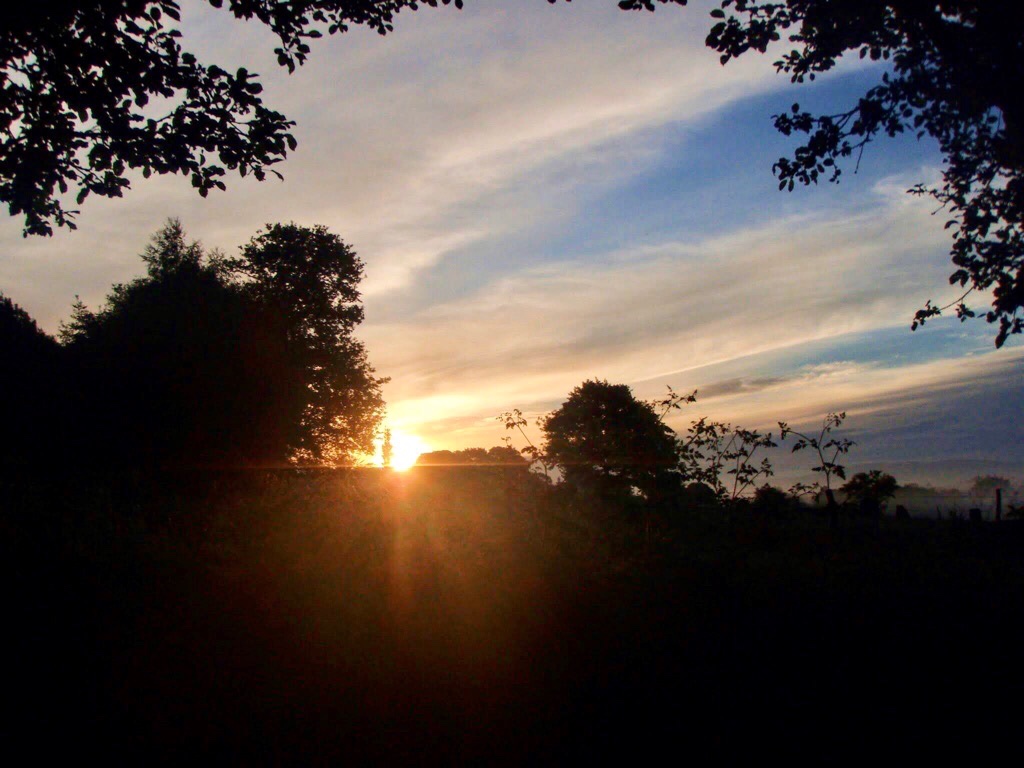 601 カミーノ caminoポルトマリンportmarin 朝焼け明るい光 きれい