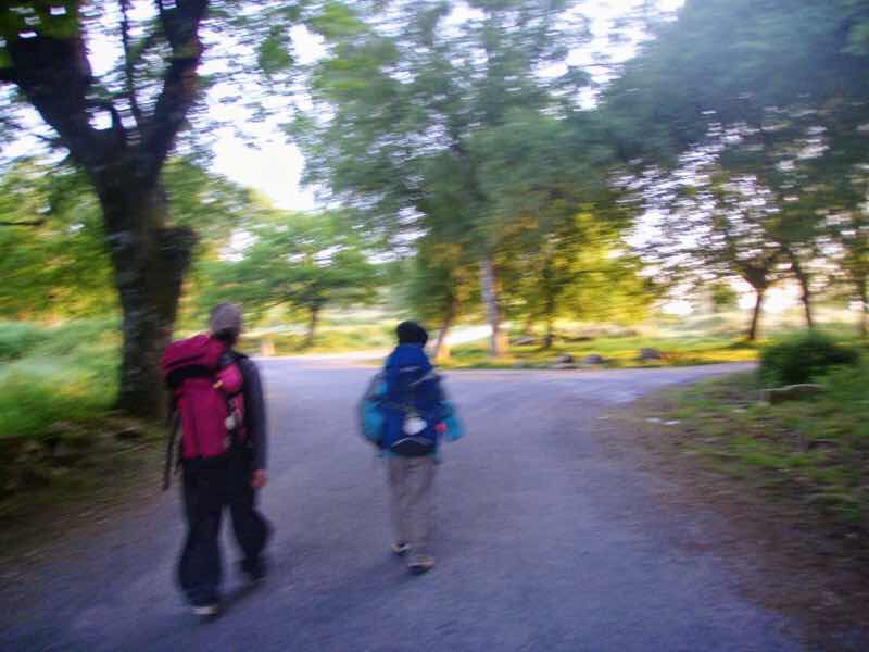 601 カミーノ caminoポルトマリンportmarin に向かう朝 薄暗い12公園へ