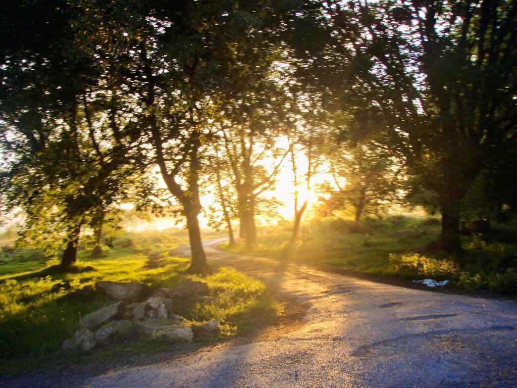 601 カミーノ caminoポルトマリンportmarin 朝日公園へ景色