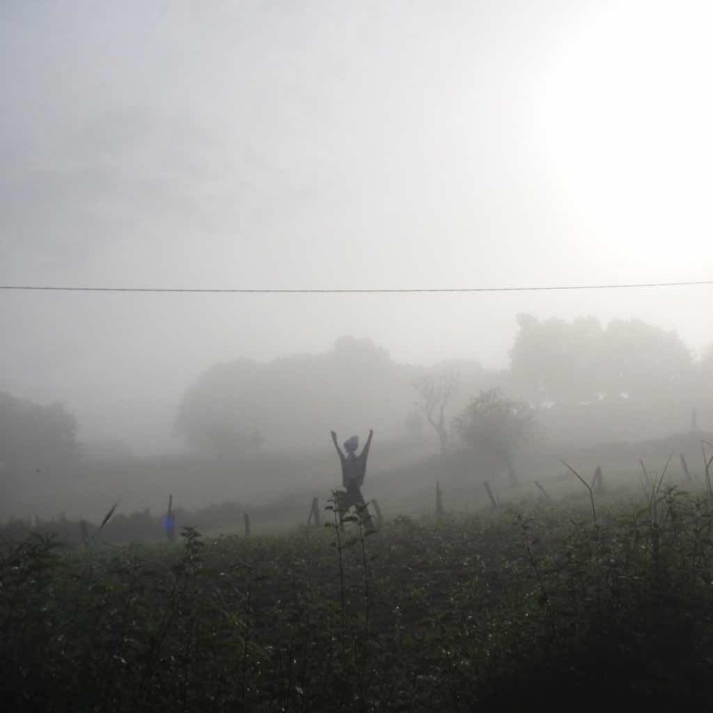 601 カミーノ caminoポルトマリンportmarin 朝焼け明るいかかし